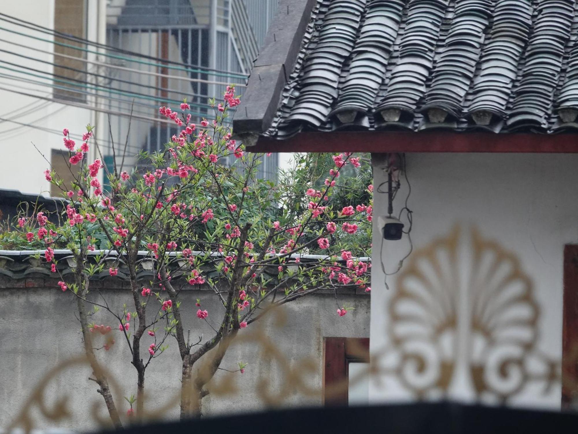 Yangshuo Xiao Long River Hotel المظهر الخارجي الصورة