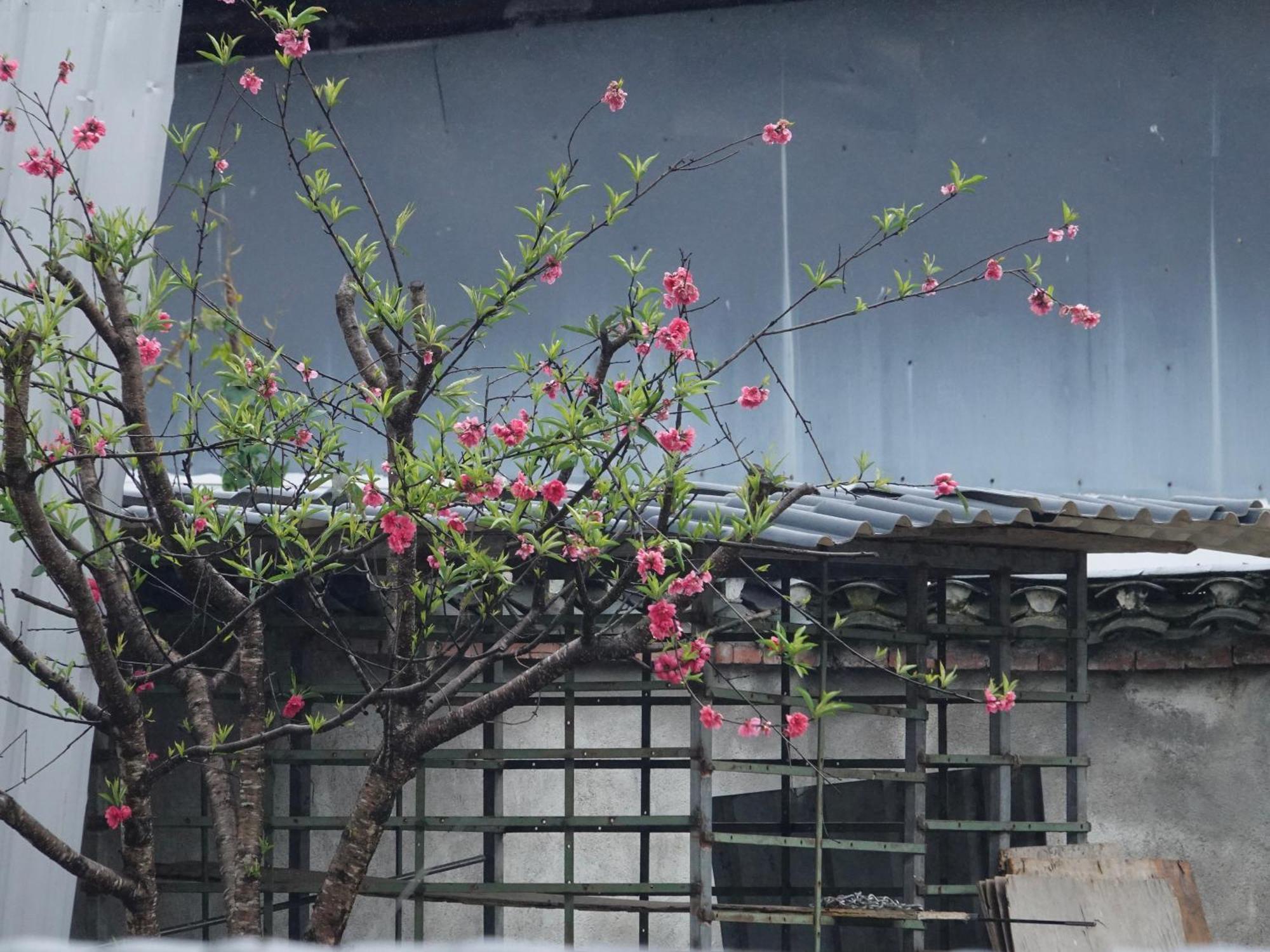 Yangshuo Xiao Long River Hotel المظهر الخارجي الصورة